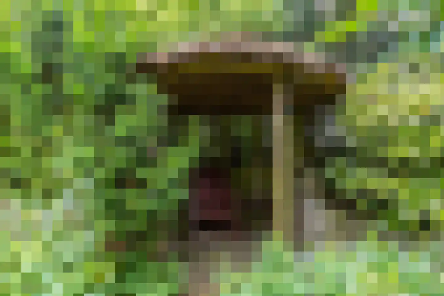 Schwartzenbergweg 8 Hichtum thumbnail 53