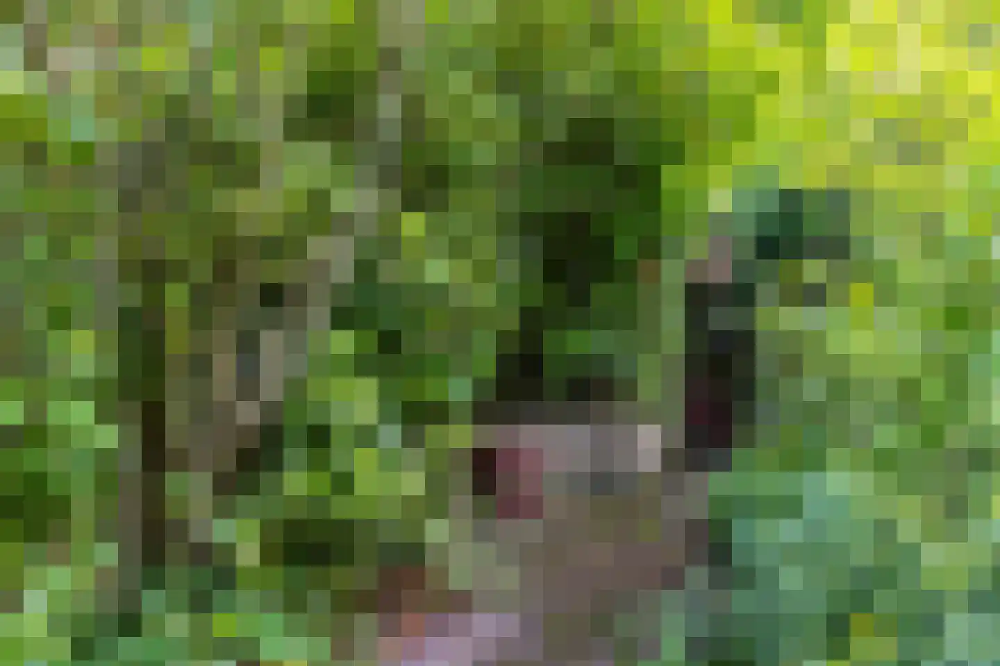 Schwartzenbergweg 8 Hichtum thumbnail 55