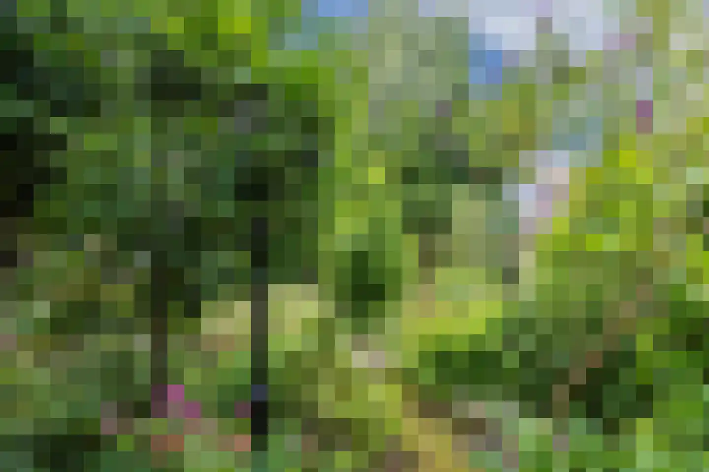 Schwartzenbergweg 8 Hichtum thumbnail 56