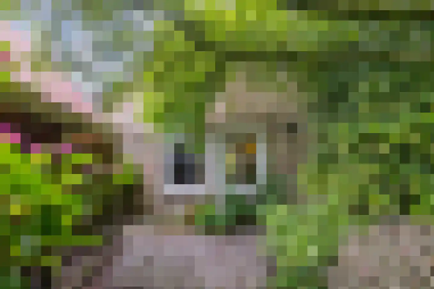 Schwartzenbergweg 8 Hichtum thumbnail 6