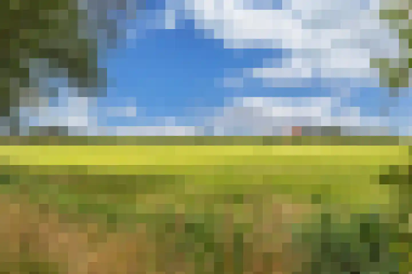 Schwartzenbergweg 8 Hichtum thumbnail 60