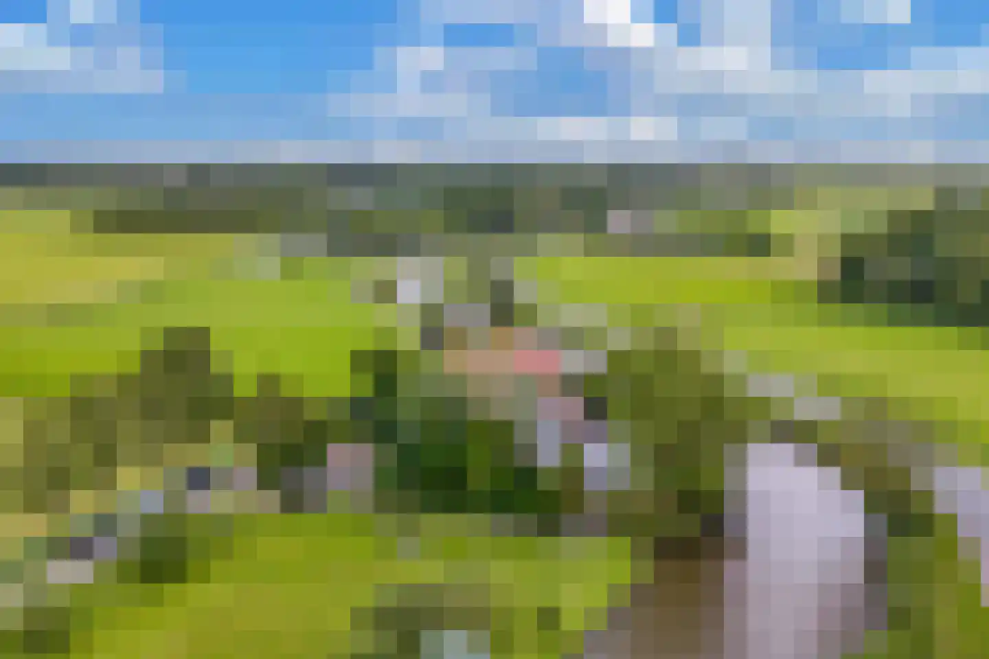 Schwartzenbergweg 8 Hichtum thumbnail 61