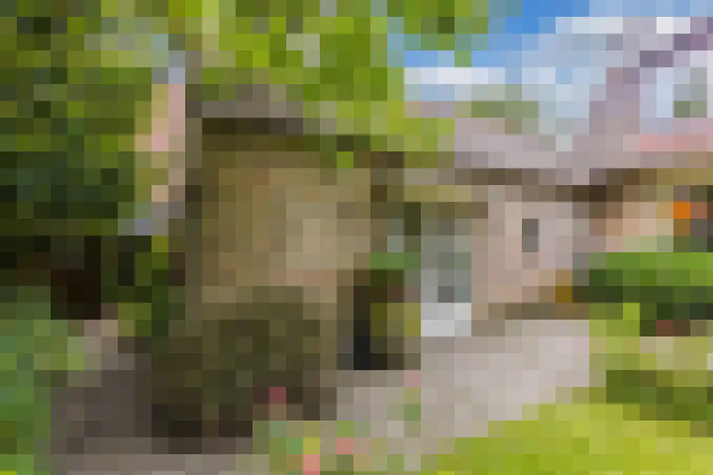 Schwartzenbergweg 8 Hichtum thumbnail 7