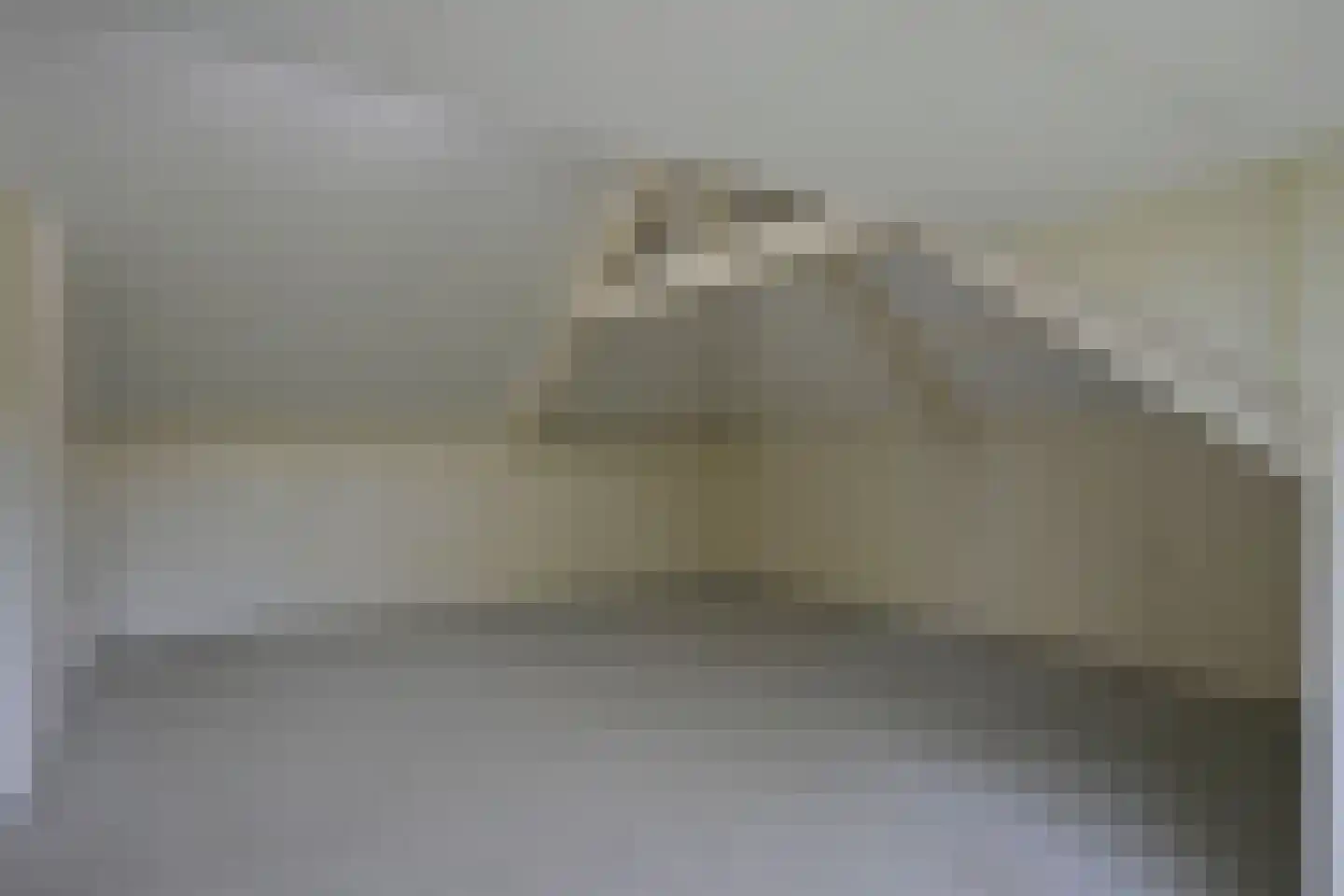 Schweibergerweg 28 Mechelen thumbnail 32