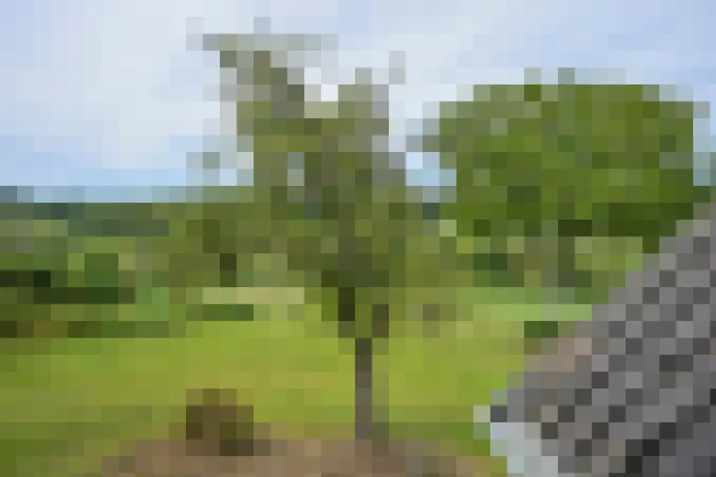 Schweibergerweg 28 Mechelen thumbnail 44