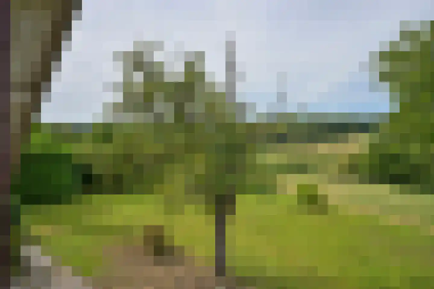 Schweibergerweg 28 Mechelen thumbnail 45