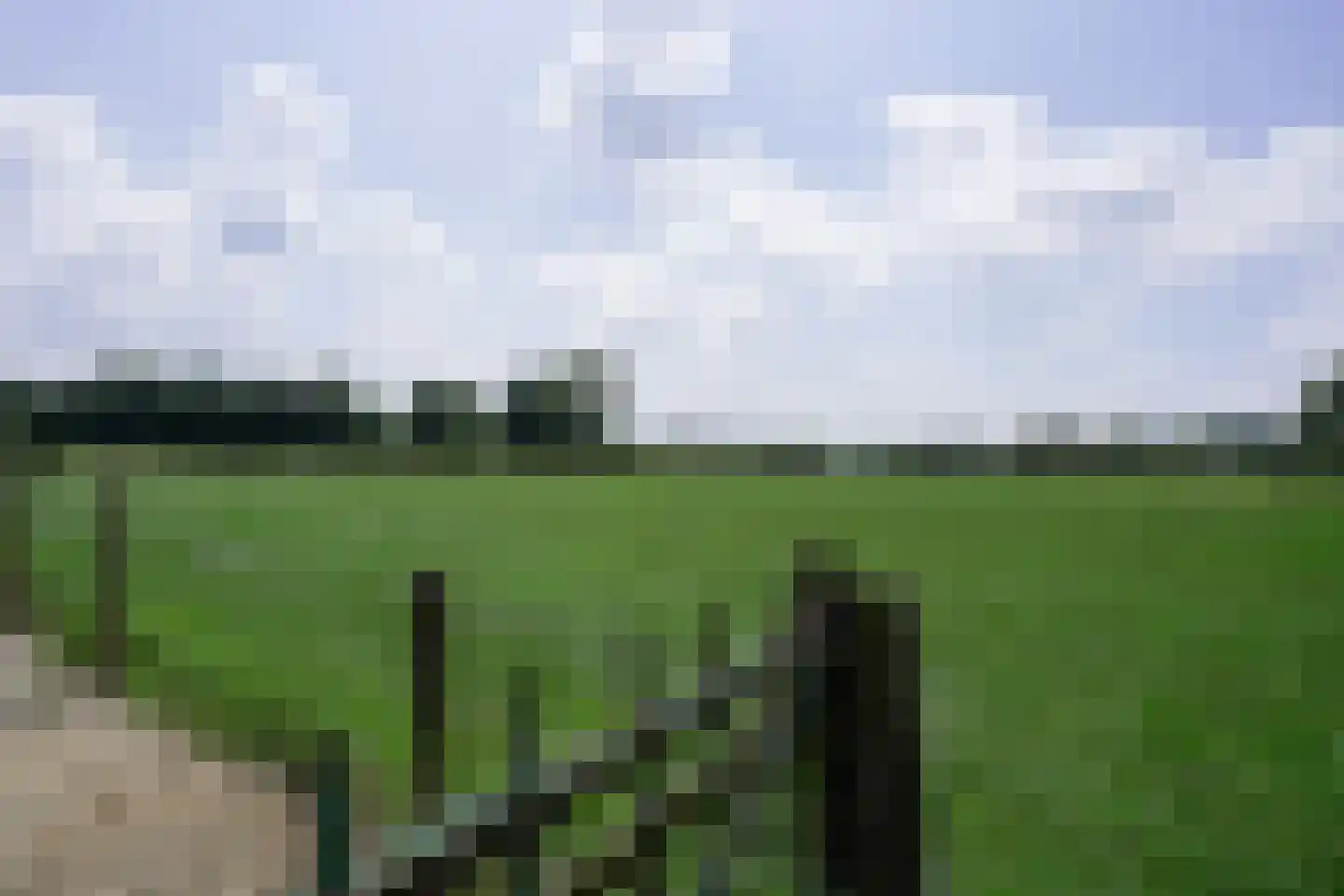 Schweibergerweg 78 Mechelen thumbnail 36