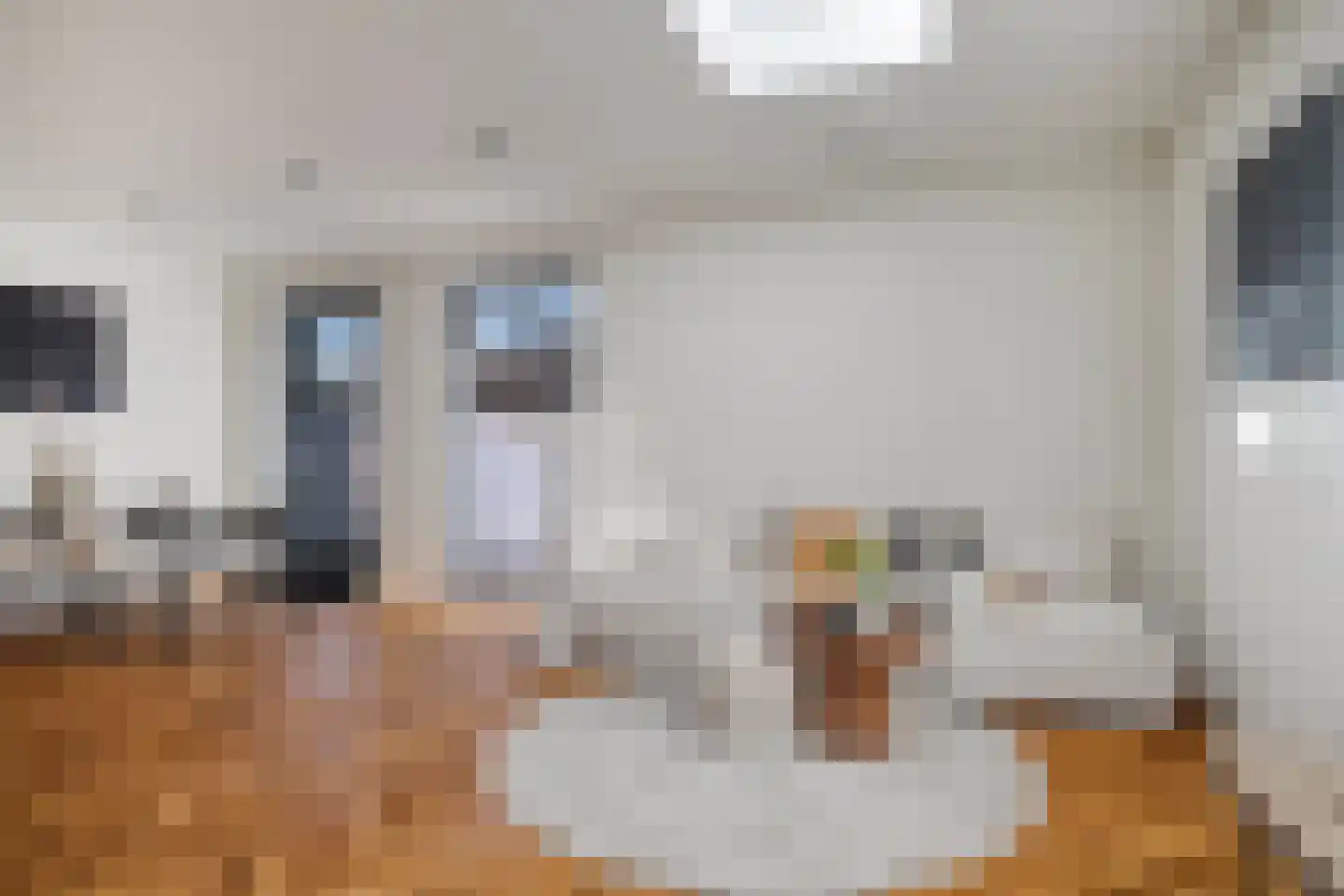 Schweigmannstraat 13 B Amsterdam thumbnail 12