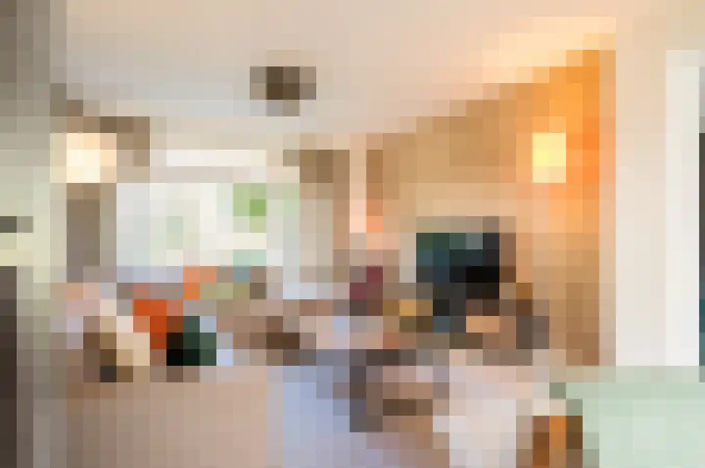 Schweitzerlaan 3 Eindhoven thumbnail 13