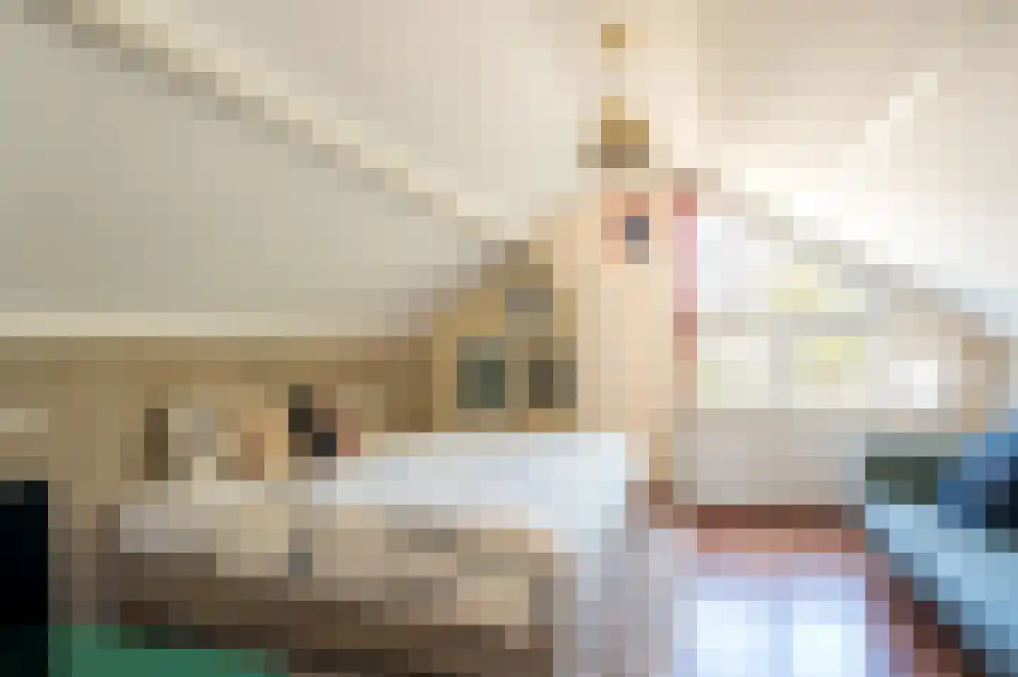 Schweitzerlaan 3 Eindhoven thumbnail 35