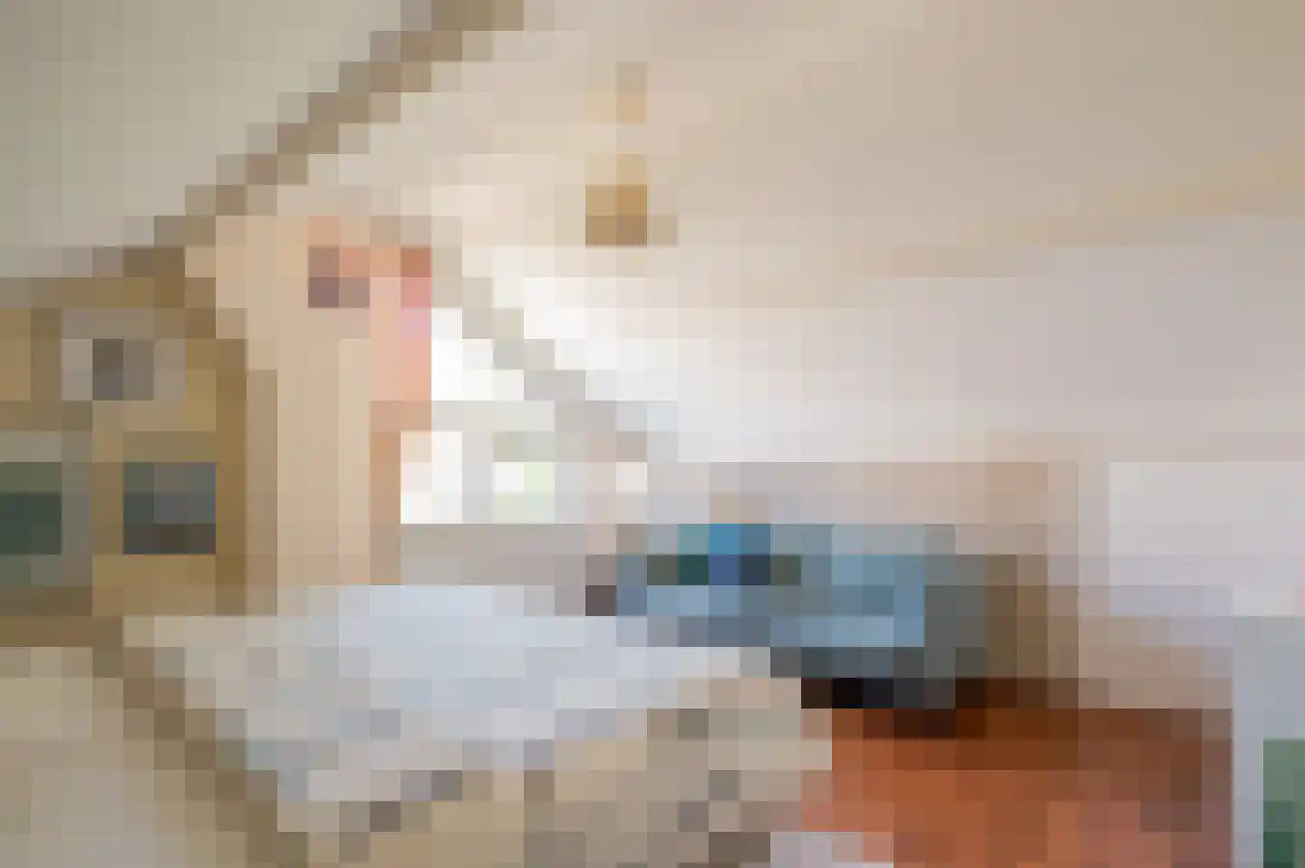Schweitzerlaan 3 Eindhoven thumbnail 36