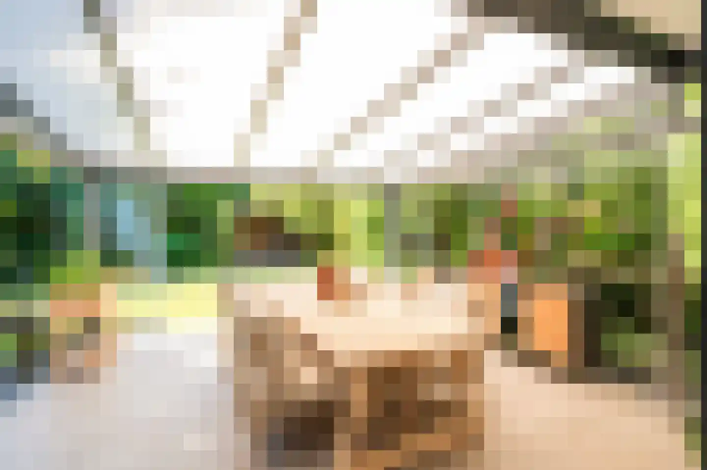 Schweitzerlaan 3 Eindhoven thumbnail 41