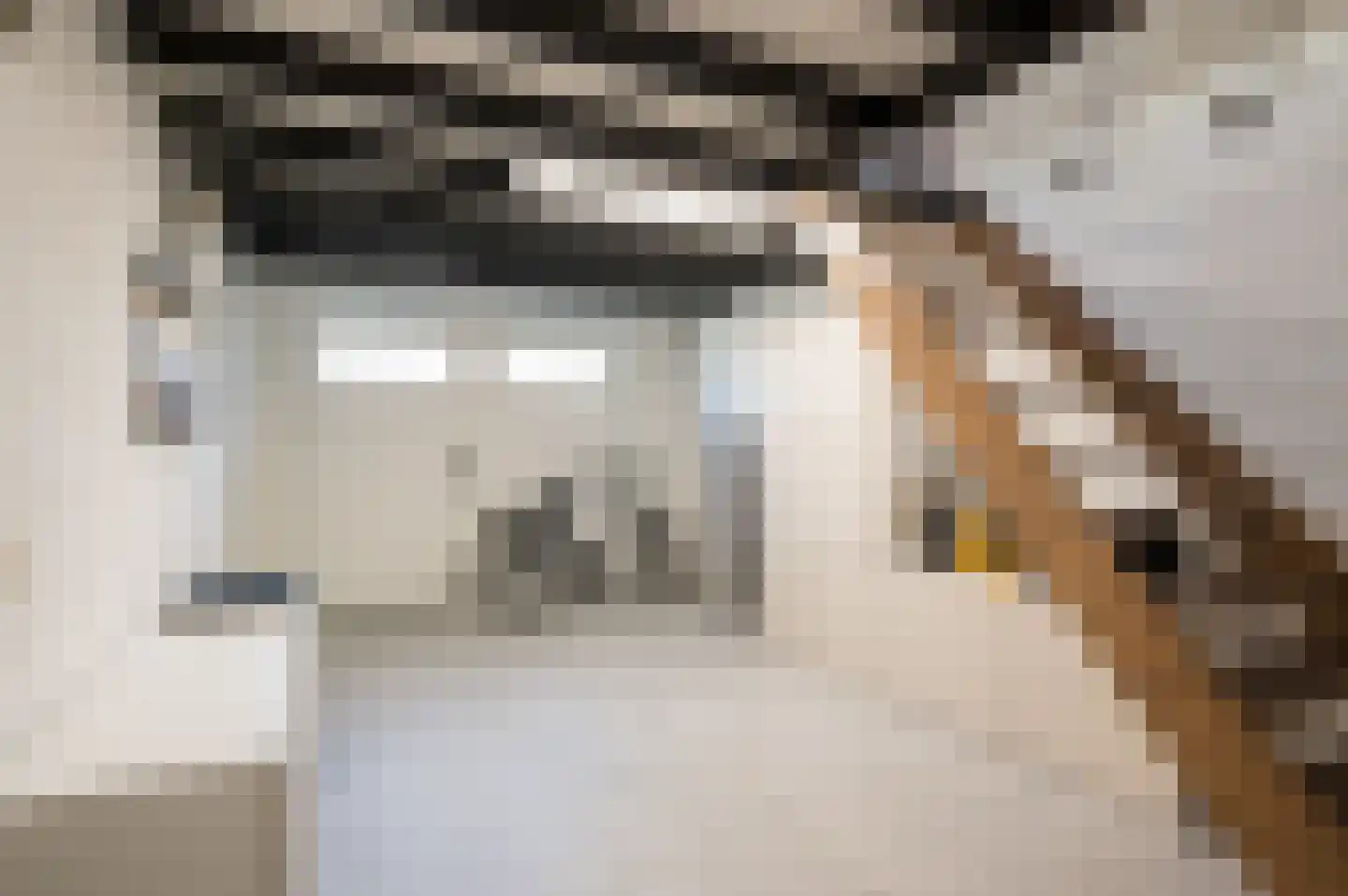 Schweitzerlaan 3 Eindhoven thumbnail 50
