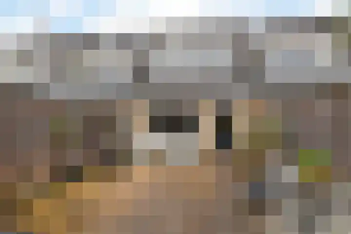 Schweitzerlaan 41 Amstelveen thumbnail 35