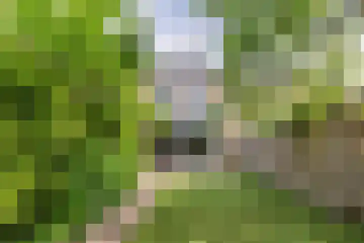 Schweitzerlaan 53 Amstelveen thumbnail 33
