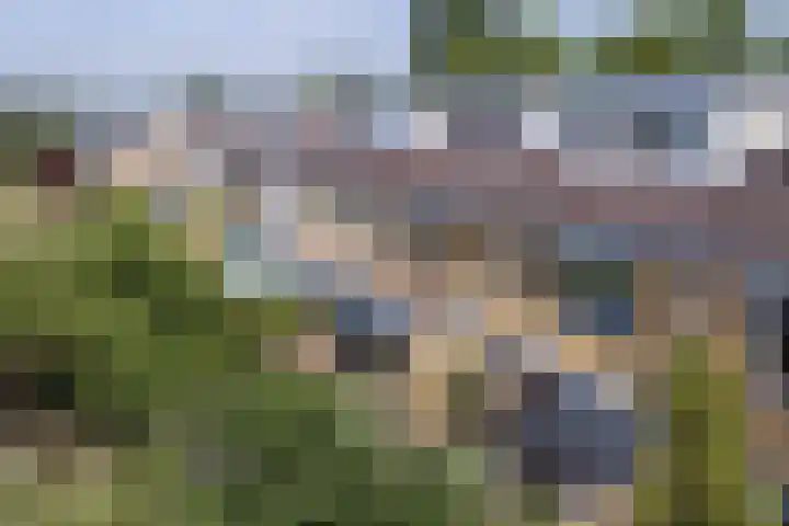 Schweitzerlaan 53 Amstelveen thumbnail 39