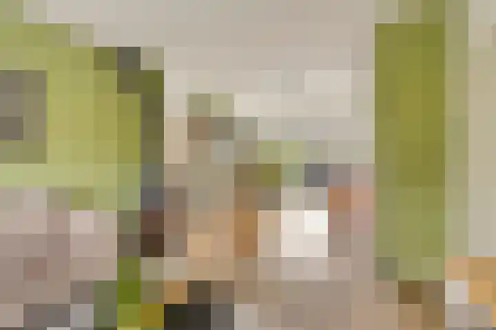 Schweitzerpark 4 Zetten thumbnail 10