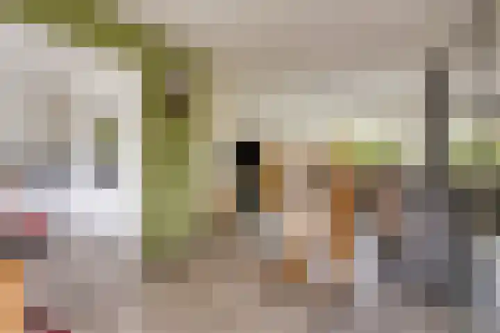 Schweitzerpark 4 Zetten thumbnail 12