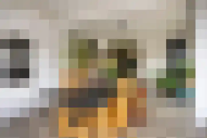 Schweitzerpark 4 Zetten thumbnail 14