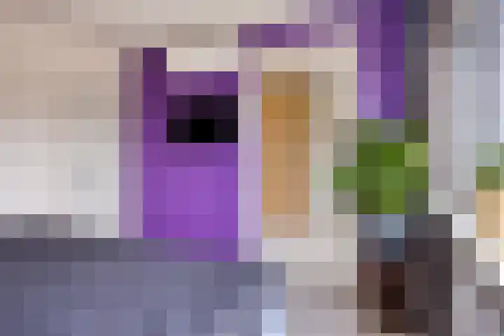 Schweitzerpark 4 Zetten thumbnail 19