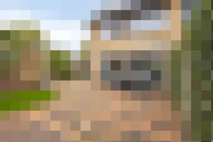 Schweitzerpark 4 Zetten thumbnail 32