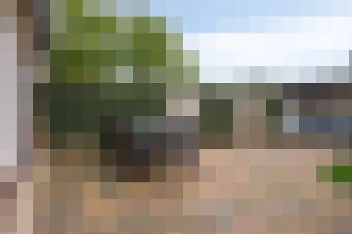 Schweitzerpark 4 Zetten thumbnail 33