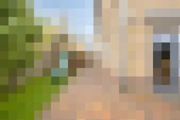 Schweitzerpark 4 Zetten thumbnail 38