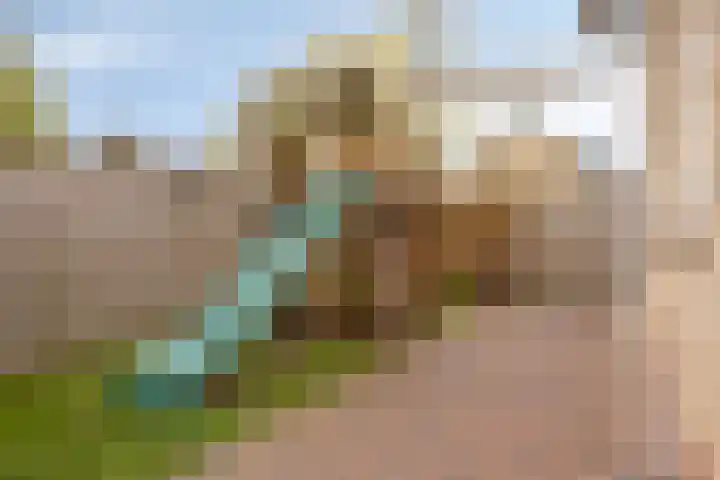 Schweitzerpark 4 Zetten thumbnail 39