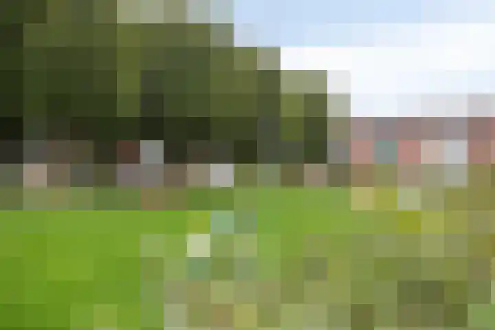 Schweitzerpark 4 Zetten thumbnail 40
