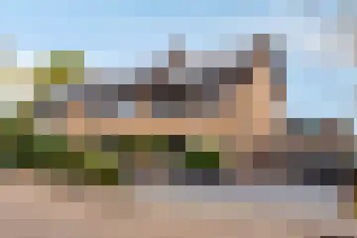 Schweitzerpark 4 Zetten thumbnail 5