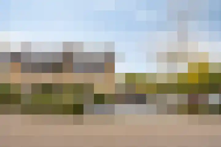 Schweitzerpark 4 Zetten thumbnail 7