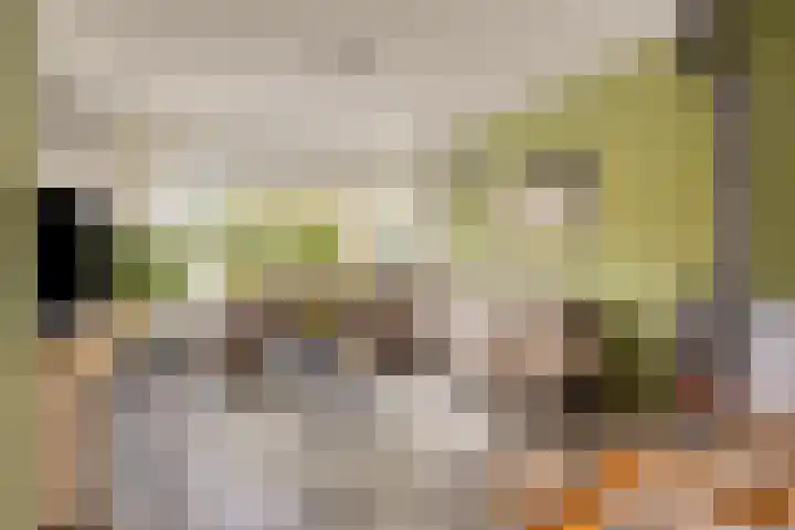 Schweitzerpark 4 Zetten thumbnail 9
