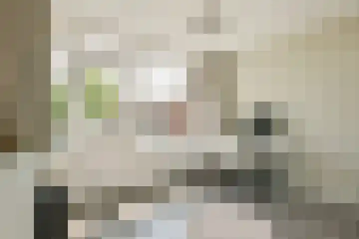Schweitzerplein 1 Gouda thumbnail 16