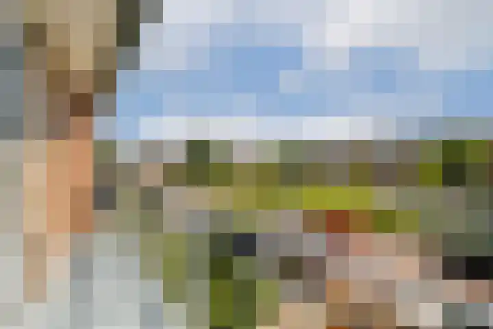 Schweitzerplein 1 Gouda thumbnail 19