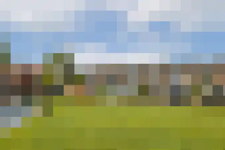 Schweitzerplein 1 Gouda thumbnail 34
