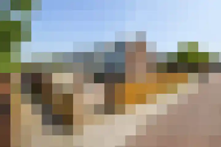 Schweitzerplein 1 Gouda thumbnail 39