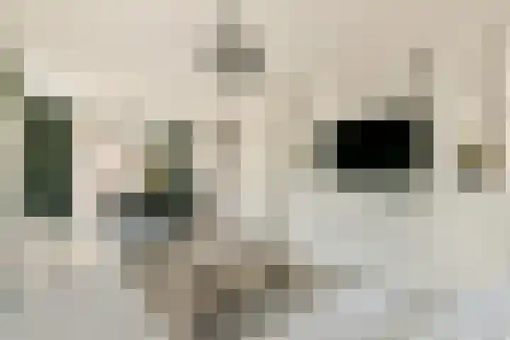 Schweitzerplein 1 Gouda thumbnail 9