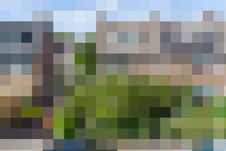 Schweitzerplein 14 Gouda thumbnail 45