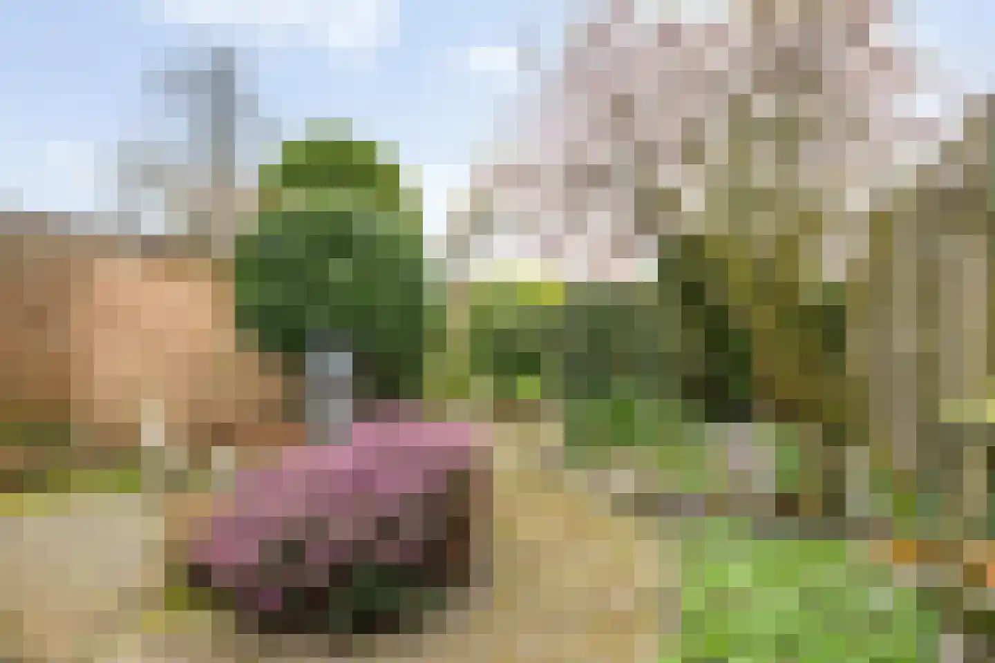 Schweitzerstraat 164 Hoofddorp thumbnail 32
