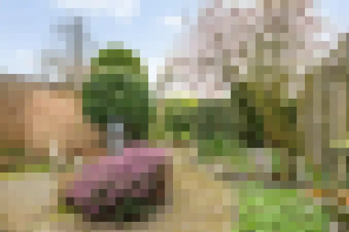Schweitzerstraat 164 Hoofddorp thumbnail 33