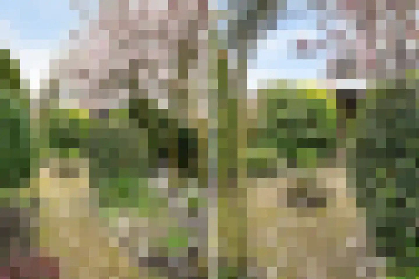 Schweitzerstraat 164 Hoofddorp thumbnail 33