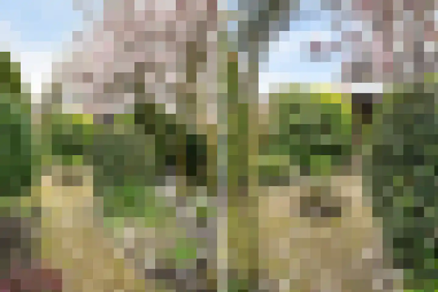 Schweitzerstraat 164 Hoofddorp thumbnail 34
