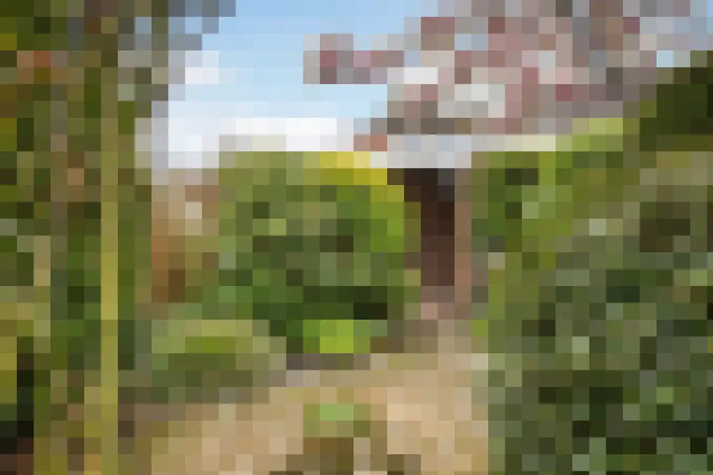 Schweitzerstraat 164 Hoofddorp thumbnail 34