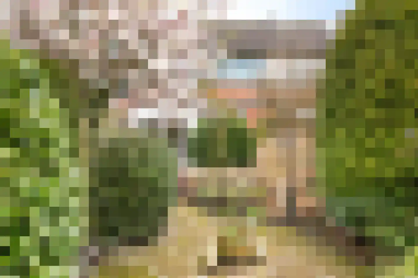 Schweitzerstraat 164 Hoofddorp thumbnail 37