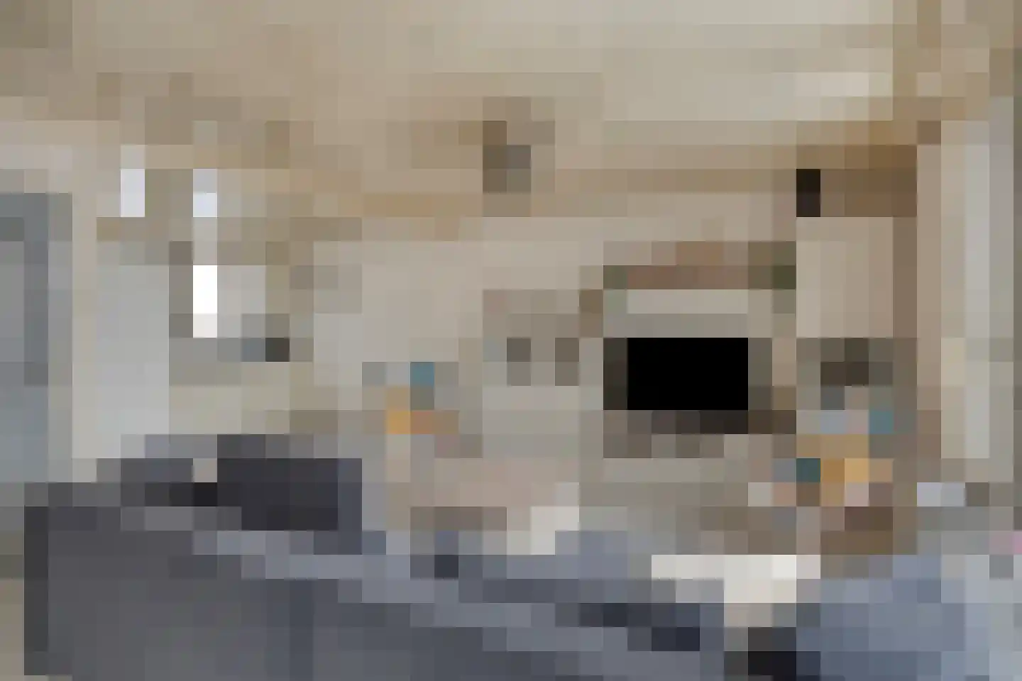 Schweitzerstraat 18 Eygelshoven thumbnail 15