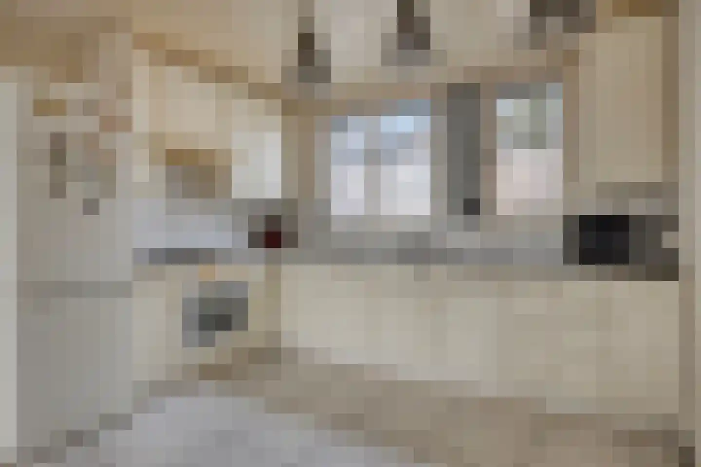 Schweitzerstraat 18 Eygelshoven thumbnail 17