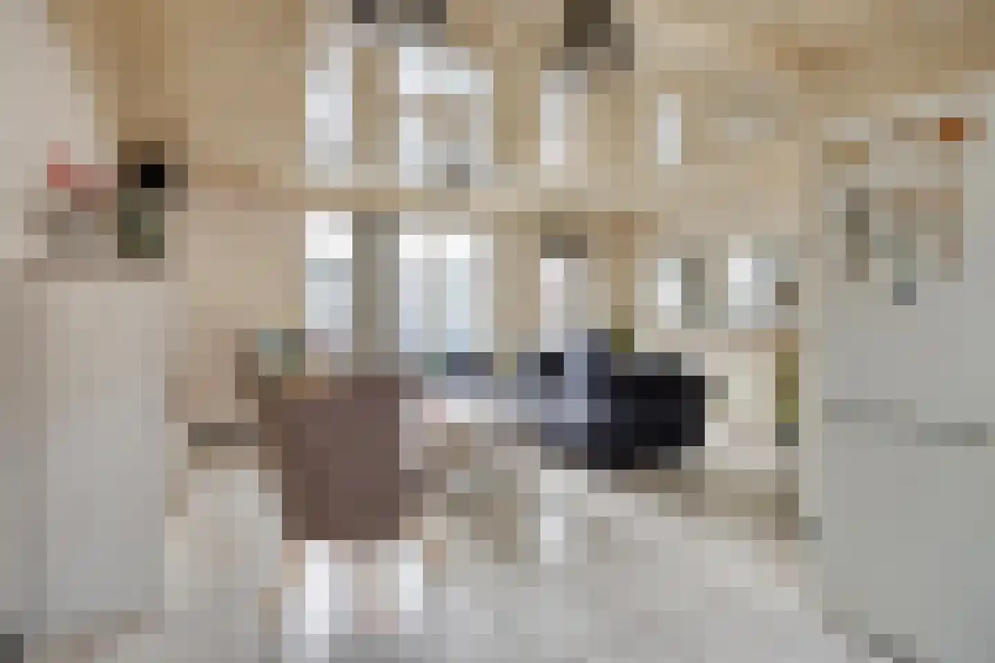 Schweitzerstraat 18 Eygelshoven thumbnail 19