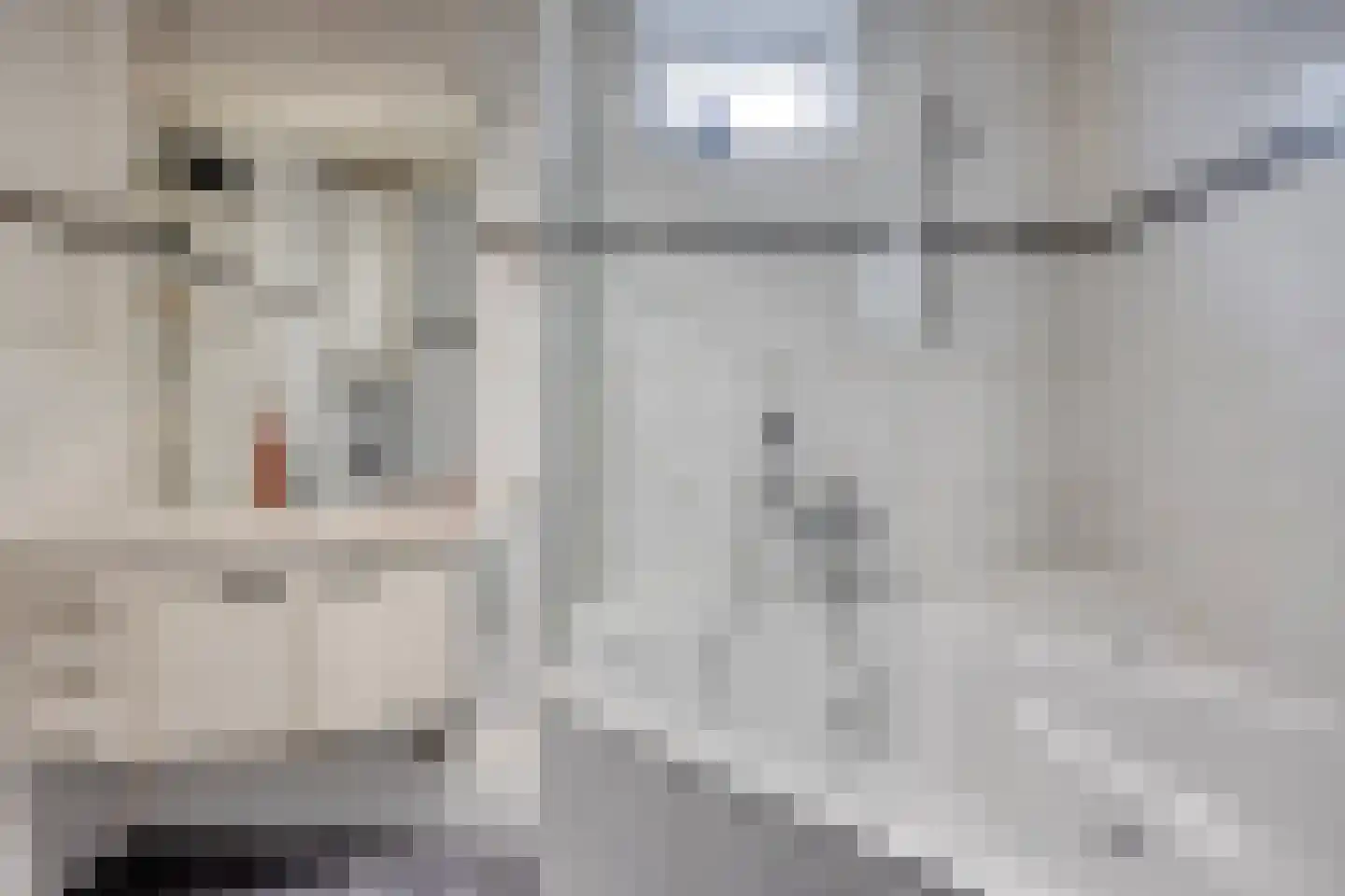Schweitzerstraat 18 Eygelshoven thumbnail 23
