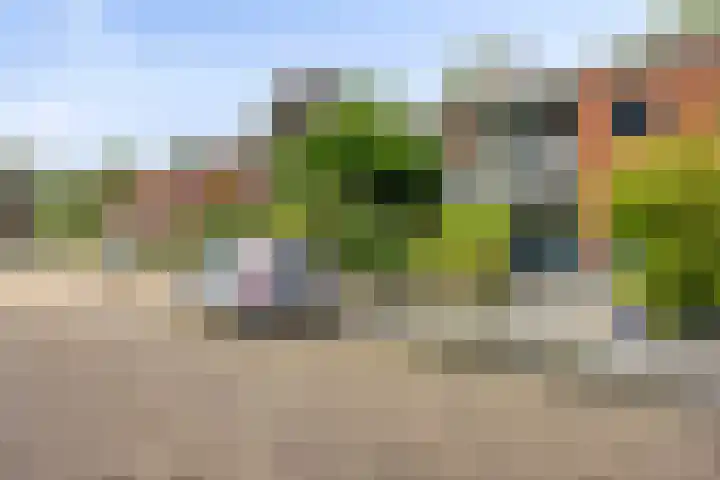 Schweitzerstraat 19 in Assen