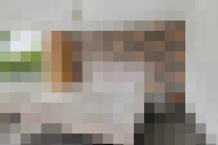Schweitzerstraat 19 Assen thumbnail 20